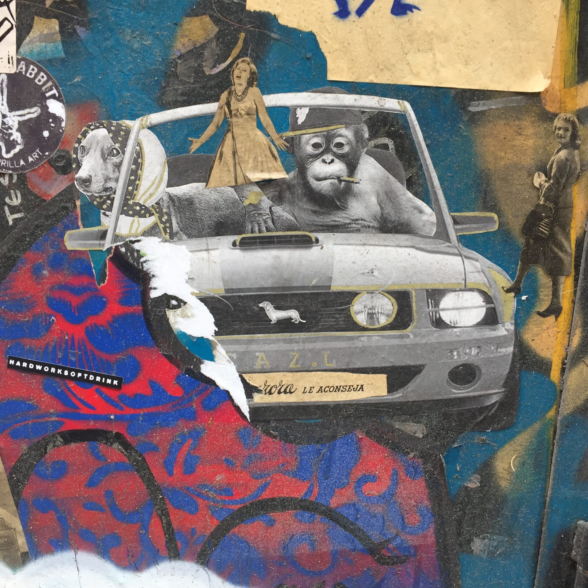 hannes-richter-ci_-yIna2dQ-unsplash retro car with monkey driving and dog passenger | pitch deck perfection | ampersand branding