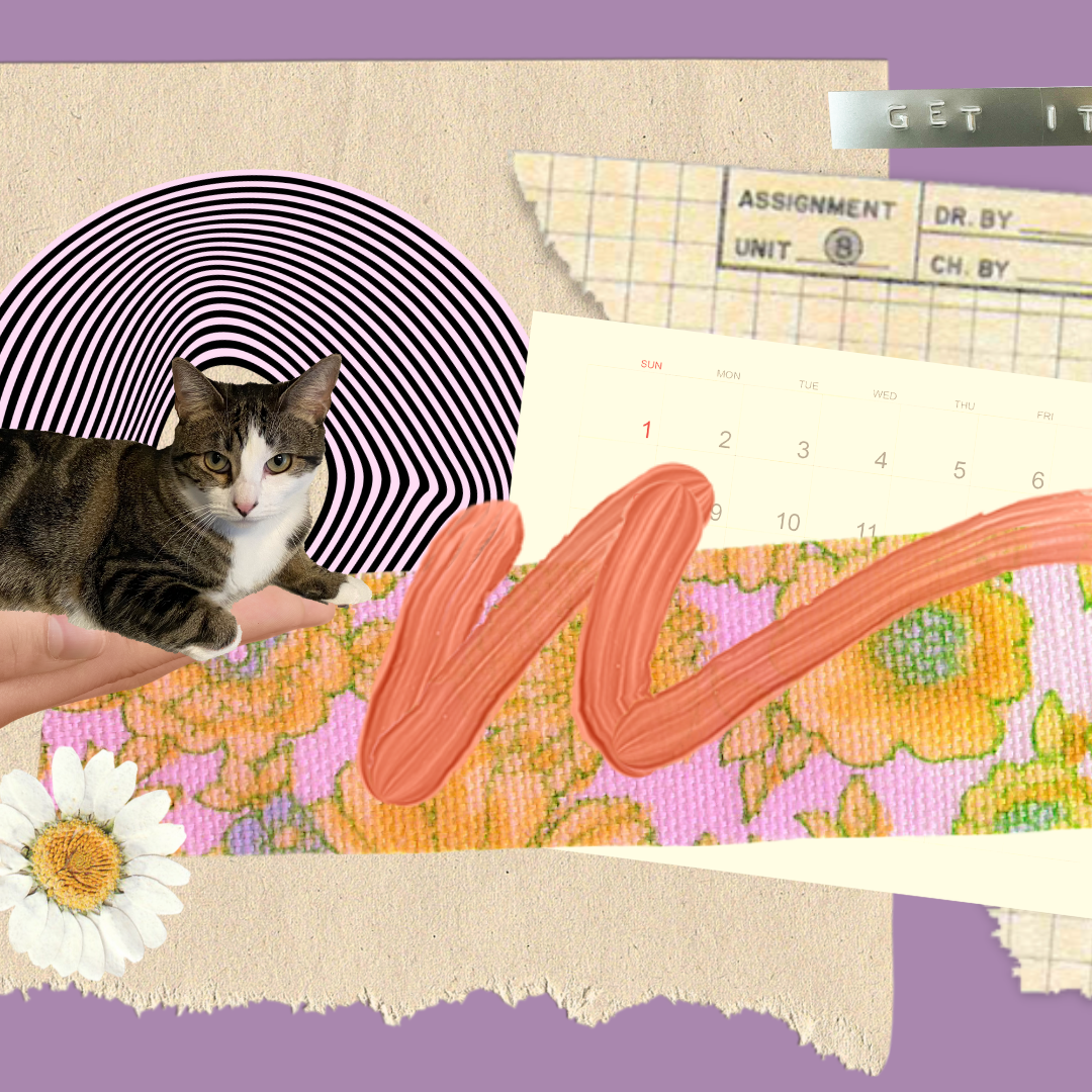 Trixie, a cute cat, in a collage with vintage elements